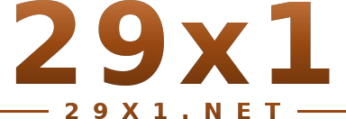 29x1 logo